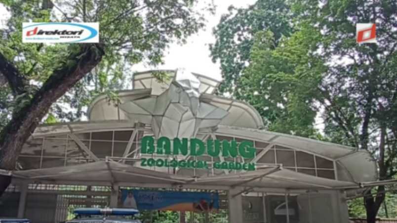 Kebun Binatang Bandung, Wisata Pembelajaran Favorite untuk Berlibur Keluarga