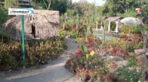 Sarana yang Ada di Teritori Wisata Javanica Park Magelang