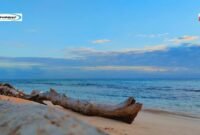 Pulau Ndaa, Pulau Elok dan Spot Favorite Beberapa Pencinta Snorkeling di Wakatobi