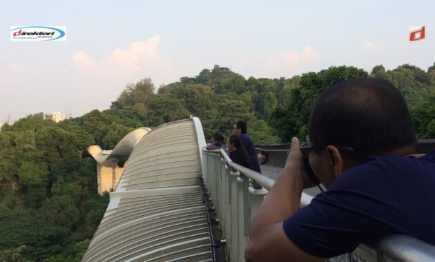 Henderson Waves Bridges Singapore: Jembatan Tertinggi dan Terindah di Singapura