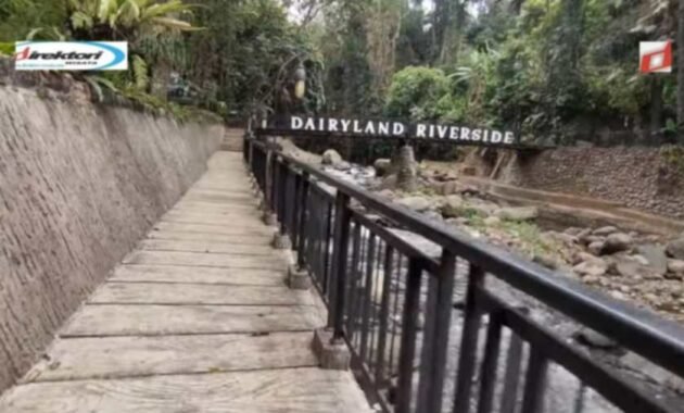 Kegiatan Wisata yang Menarik Dilaksanakan di Cimory Riverside Puncak