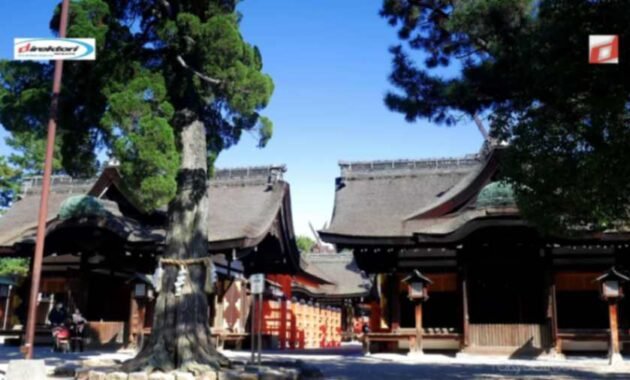 Pengalaman Spiritual di Kuil Sumiyoshi Taisha