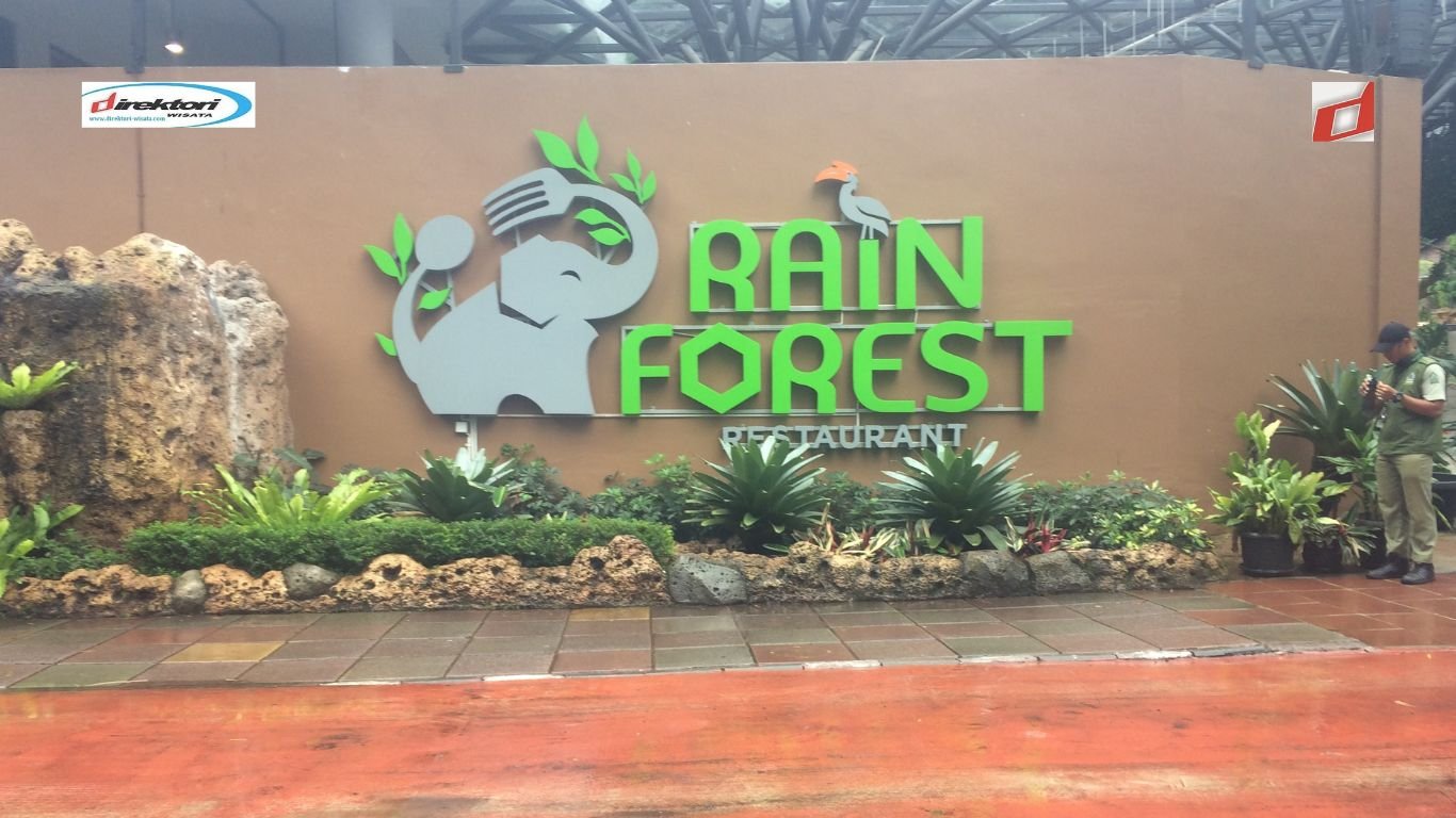 Rain Forest, Tempat Hang Out Baru di Taman Safari Bogor untuk Menikmati Keindahan Alam
