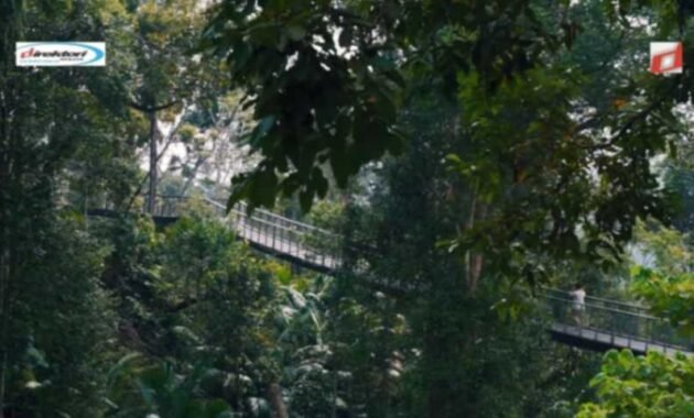 Sarana yang Ada di Teritori Wisata The Habitat Penang Hill Malaysia