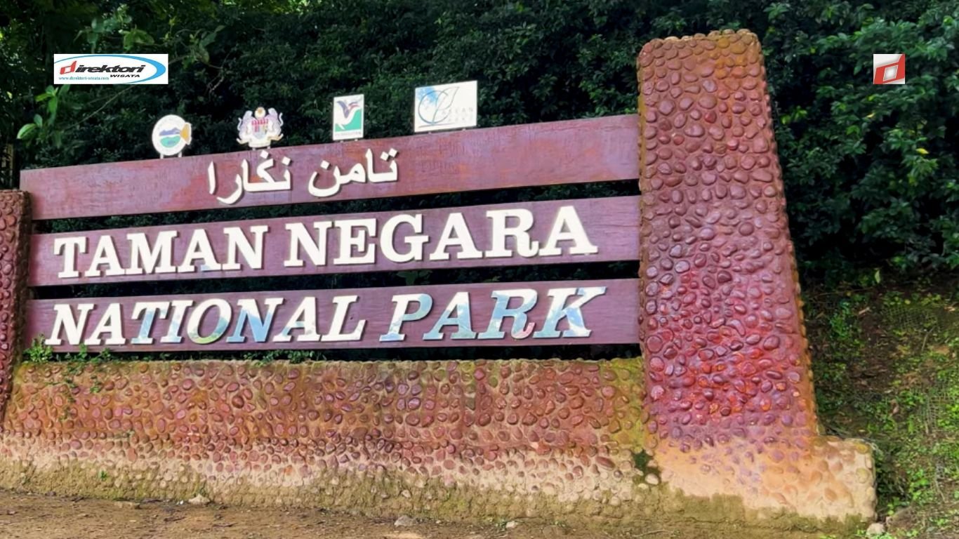 Explore the Natural Beauty of Taman Nasional Taman Negara