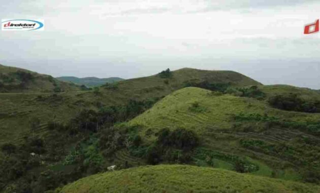 Harga Ticket Masuk Object Wisata Teletubbies Hills Nusa Penida
