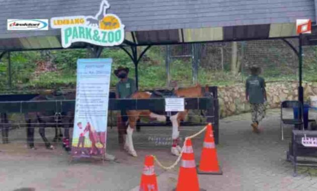 Kegiatan yang Menarik Dilaksanakan di Wisata Lembang Park dan Zoo