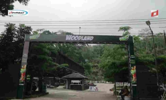 Kegiatan yang Menarik Dilaksanakan di Wisata Woodland