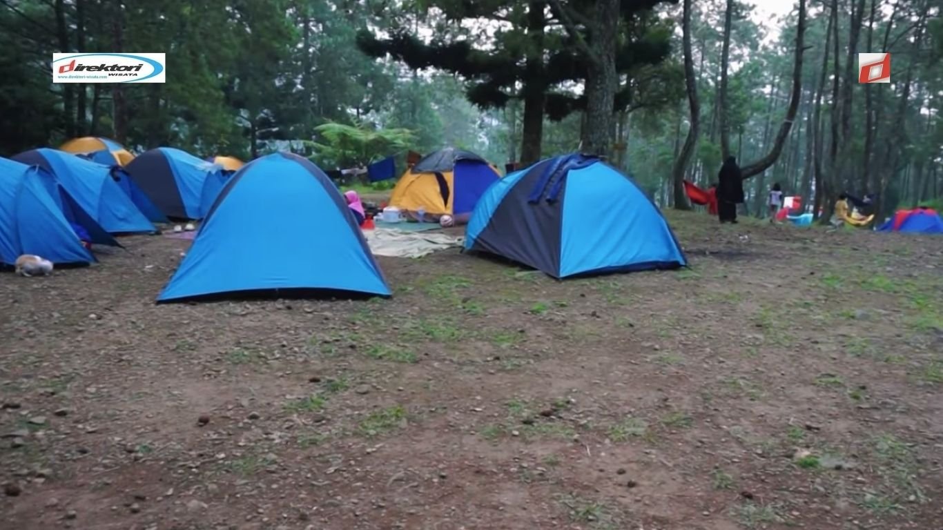 Mandalawangi Camping Ground, Spot Camping Cantik di Cianjur