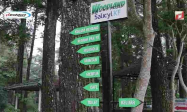 Sarana yang Ada di Teritori Wisata Woodland Kuningan