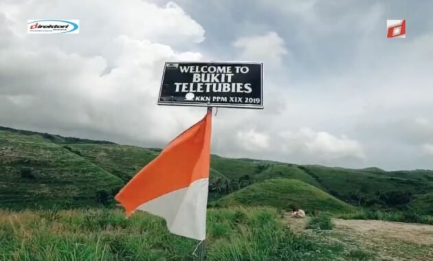 Teletubbies Hills, Nikmati Pemandangan Wisata Alam Eksotik Diketinggian di Nusa Penida