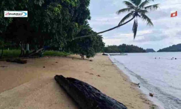 Aktivitas Wisata yang Menarik Dilaksanakan di Pantai Alo Alo