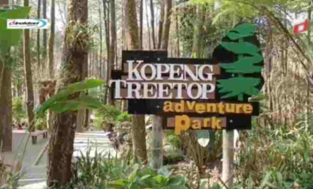 Daya Ambil Wisata yang Dipunyai Kopeng Treetop Adventure Park