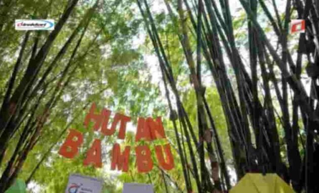 Kegiatan Wisata yang Menarik Dilaksanakan di Hutan Bambu Bekasi