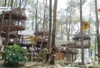 Kopeng Treetop Adventure Park, Nikmati Daya tarik Wisata Alam Terbaik di Semarang