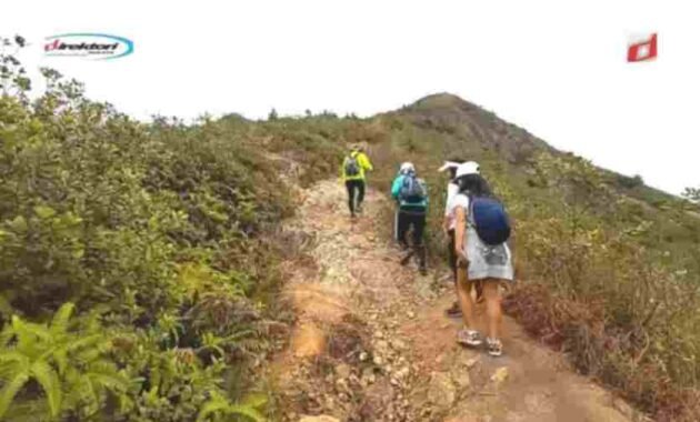 Sai Kung East Country Park Hiking
