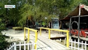 Aktivitas Wisata yang Menarik Dilaksanakan di Pantai Mangrove