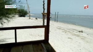 Alamat Wisata dan Jalur Ke arah Lokasi Pantai Mangrove