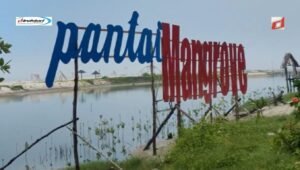 Daya Ambil Wisata yang Dipunyai Pantai Mangrove Kampung Nipah