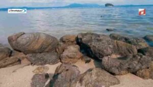 Daya Ambil Wisata yang Dipunyai Pantai Tirtayasa Lampung