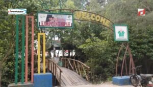 Harga Ticket Masuk Wisata Pantai Mangrove Kampung Nipah