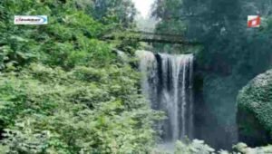 Keindahan Alam dan Lanskap Curug Omas Maribaya