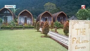 Menikmati Keindahan dan Kenyamanan di The Polumb Garden Bedugul, Bali