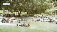 Menjelajahi Keindahan Wisata Alam Pakalolo: Sungai Eksotis di Luwu yang Dikelilingi Vegetasi Hijau