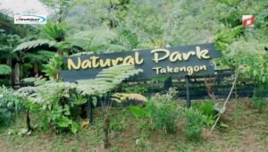Natural Park Takengon, Taman Wisata Alam di Aceh tengah