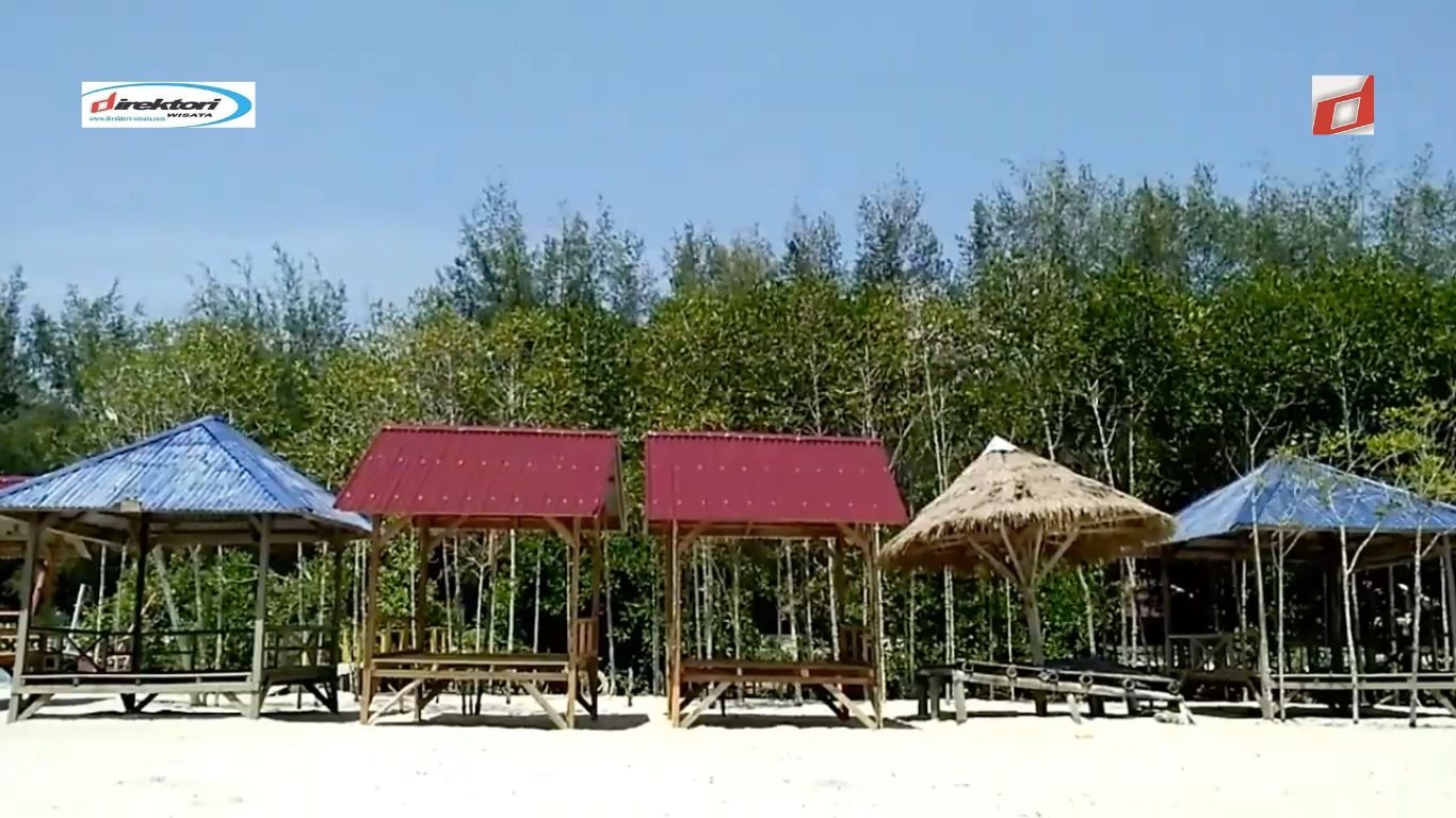 Pantai Mangrove Kampung Nipah, Daya tarik Pasir Putih dan Rimba Bakau di Serdang Bedagai