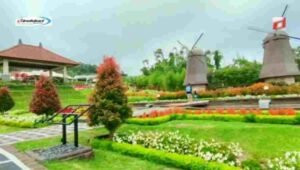 Ragam Jenis Bunga di The Blooms Garden