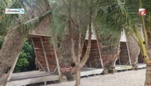 Sarana Wisata yang Ada di Pantai Mangrove Kampung Nipah