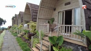 The Blooms Villas Murah di Bedugul dengan Spot Foto Terbaik