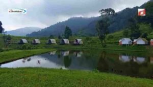 Tips dan Panduan Mengunjungi Ciliwung Adventure Camp