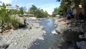 Tips dan Panduan Wisata Alam ke Sungai Pakalolo