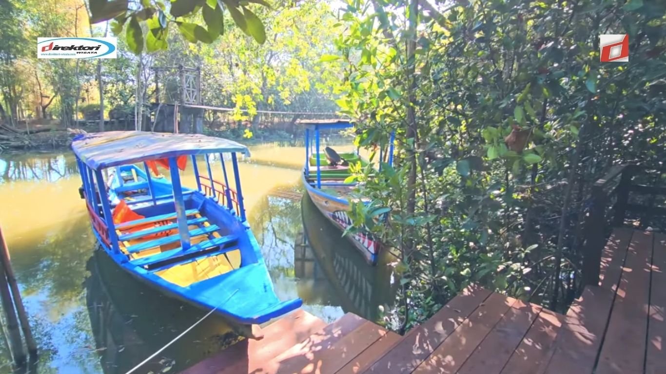Wisata Mangrove Gununganyar: Taman Ekologi di Jawa Timur