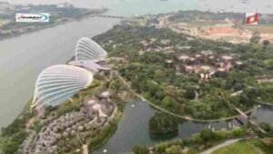 Aktivitas dan Atraksi di Sekitar Marina Bay Sands