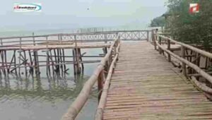 Fasilitas yang Tersedia di Ekowisata Mangrove Surabaya