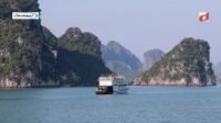 Ha Long Bay: Kisah Kemunculan Naga di Vietnam
