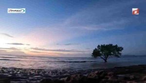 Keindahan Alam dan Pemandangan Sunset