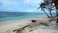 Pantai Base-G: Wisata Terpendam di Tanjung Ria, Jayapura