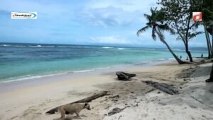 Pantai Base-G: Wisata Terpendam di Tanjung Ria, Jayapura