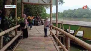 Pentingnya Konservasi Mangrove dan Peran Ekowisata