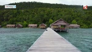 Sorido Bay Resort: Penginapan di Pulau Kri, Raja Ampat