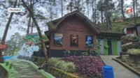 The Lawu Park: Wisata Alam di Tawangmangu yang Punya Taman Salju