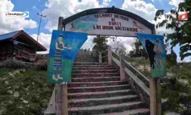 Bukit Warinding: Daya Tarik Savana Sumba yang Berbeda Sesuai Musim