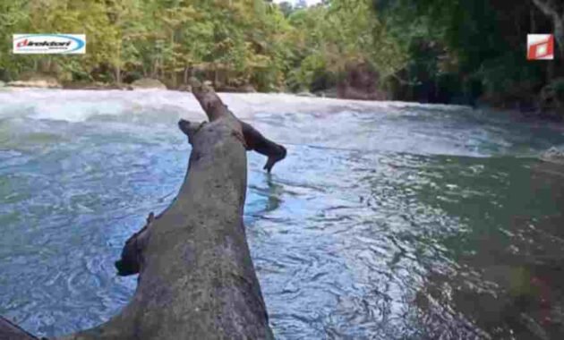 Cara Menuju Air Terjun Lapopu