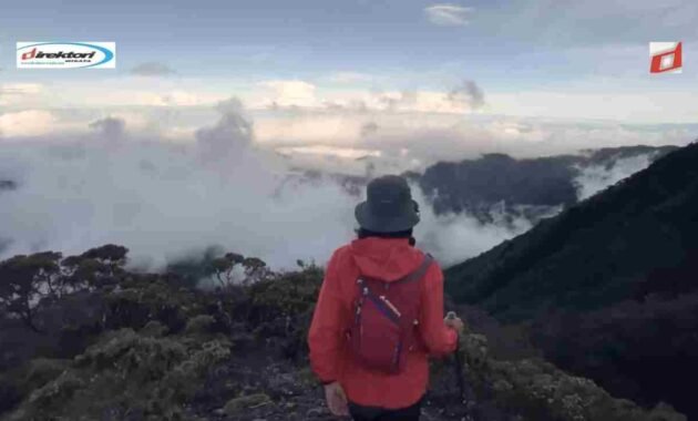 Aktivitas dan Pengalaman di Gunung Latimojong