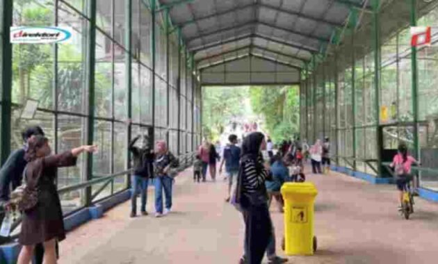 Aktivitas Menarik di Kebun Binatang Ragunan