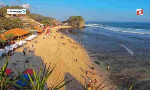 Aktivitas yang Bisa Dilakukan di Pantai Indrayanti